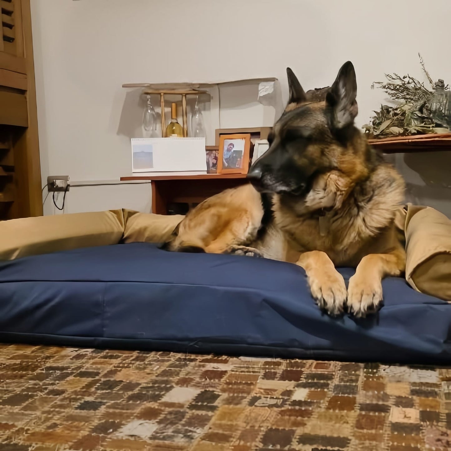 Cama Kawan Tipo C