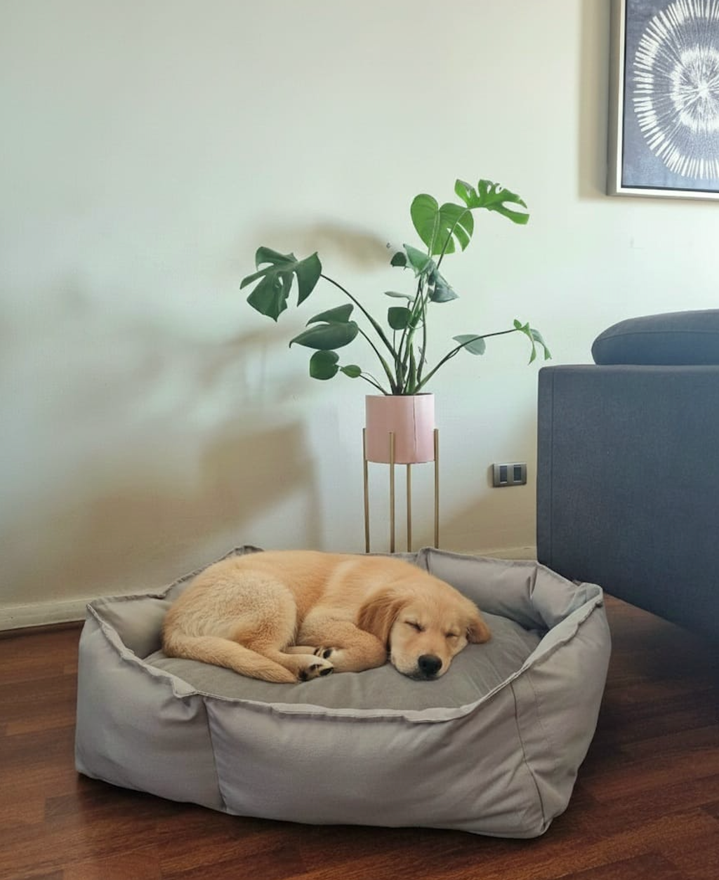 Cama Macha: Cama Premium Reversible para Perros