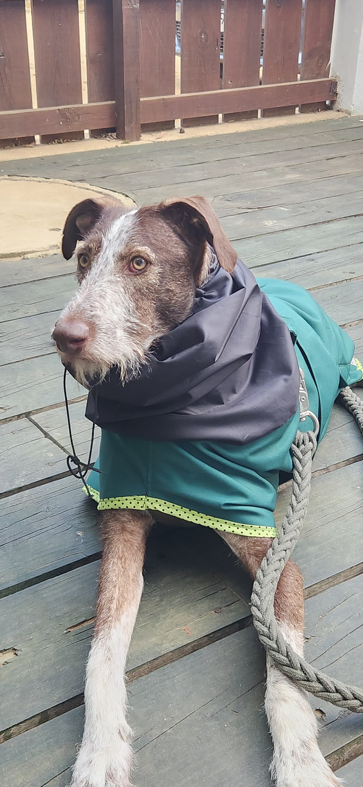 Impermeable