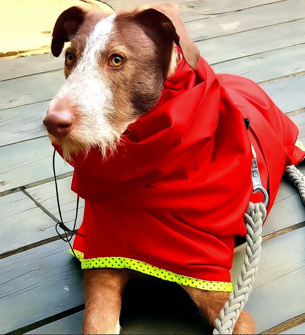 Impermeable