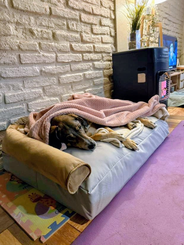 Cama Kawan Tipo C