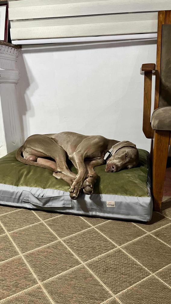 Cama Benito