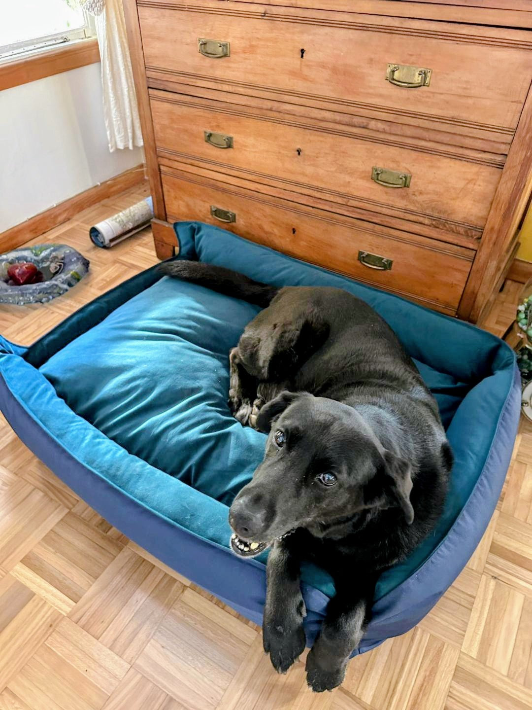 Cama Emma